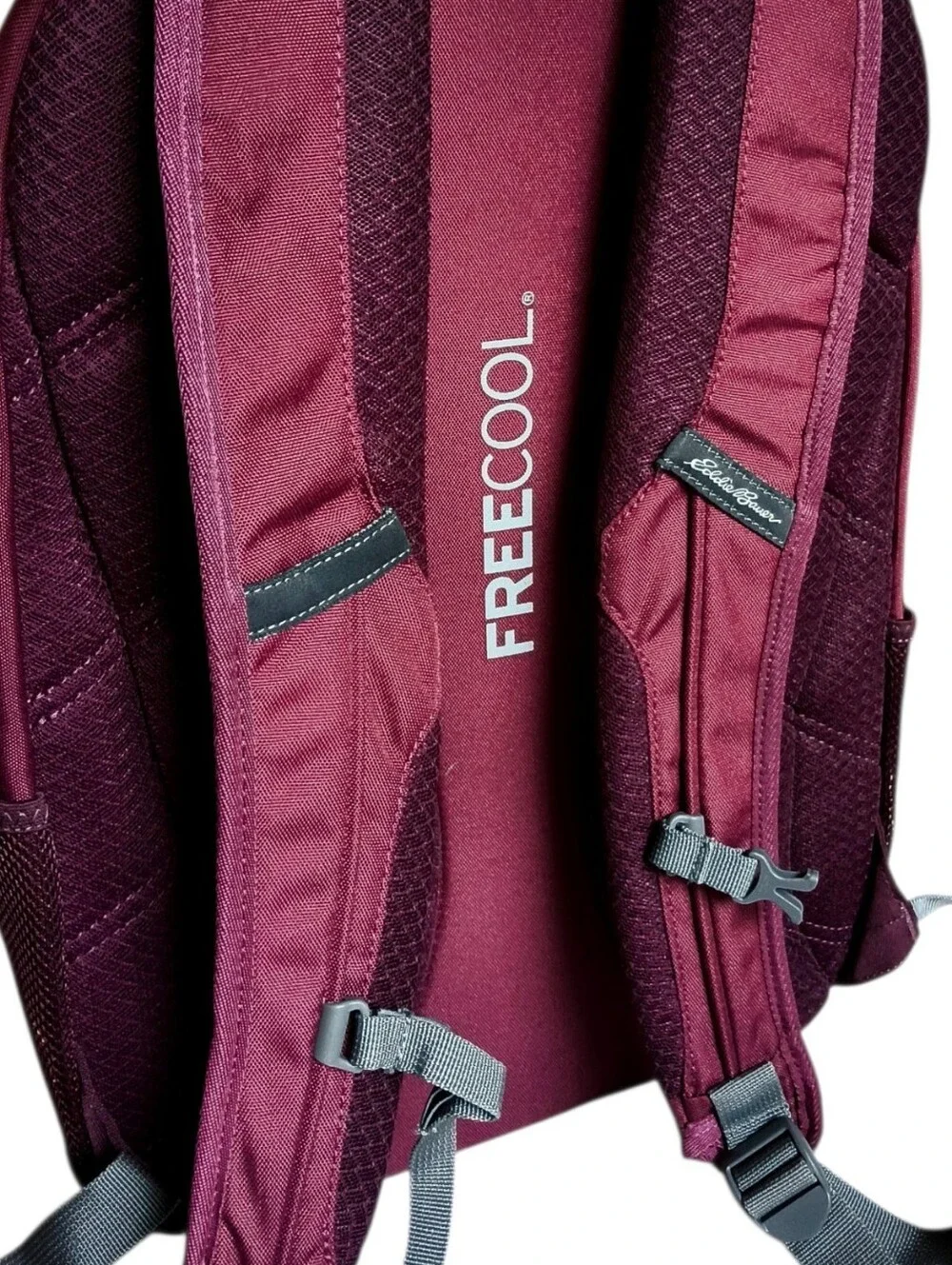 Eddie Bauer Wild Berry Adventurer 25L Backpack - Unisex Gorpcore